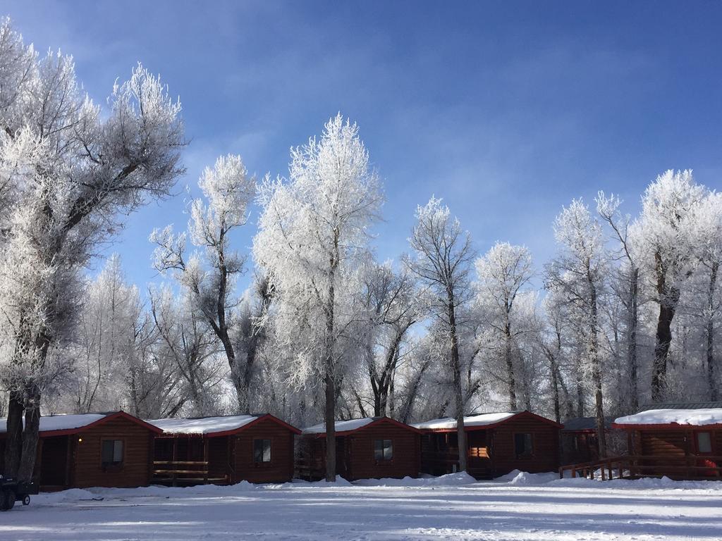 Teton Valley Cabins Driggs Εξωτερικό φωτογραφία