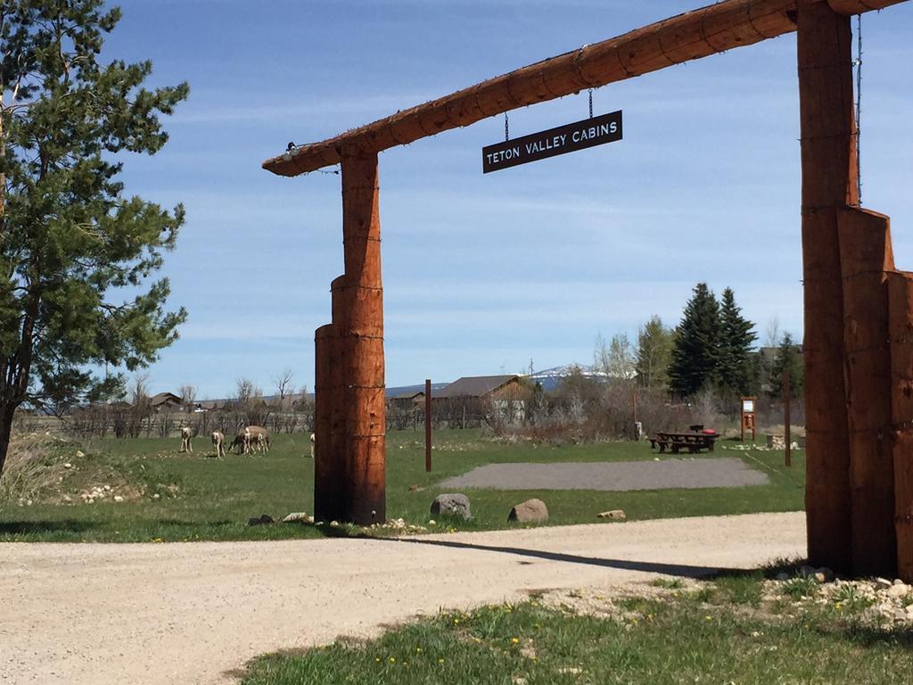 Teton Valley Cabins Driggs Εξωτερικό φωτογραφία